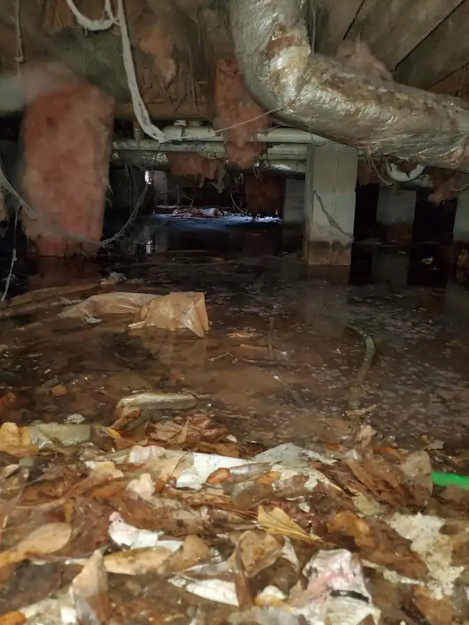 Crawl space flood assessment for Leak Detection & Repair in Redan